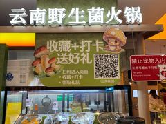 -季季山·云南野生菌火锅(上海首店)