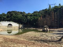 -广州市帽峰山景区