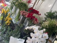-淘花源花艺鲜花店 开业花篮 绿植(南部商务区店)