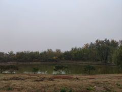 -塘沽森林公园