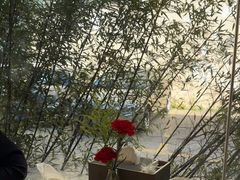 -潮州府·潮菜·砂锅粥(徐家汇店)