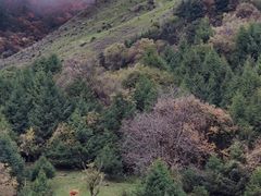 -硗碛藏寨·神木垒景区