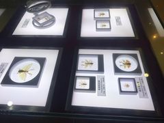 -上海昆虫博物馆