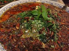-杨记隆府(白象街店)