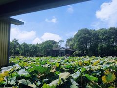 -千龙湖生态旅游度假区