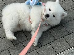 -荔康动物医院(康王北路店)