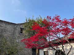 -何园
