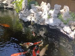 -鲤院·新中式美学·庭院餐厅(夫子庙店)