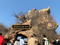-大槐树寻根祭祖园