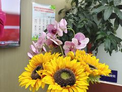 -新航道雅思托福·留学·考研培训(人民广场校区)