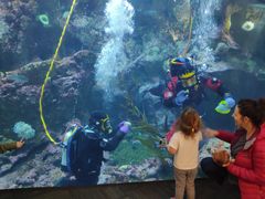-西雅图水族馆
