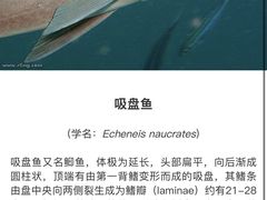 -欢乐海岸海洋奇梦馆