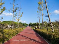 -上海浦江郊野公园-5号停车场