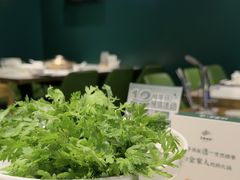 -烹然四季椰子鸡火锅(姚家园万象汇店)