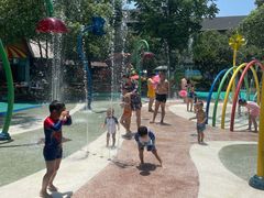 -苏州乐园森林水世界