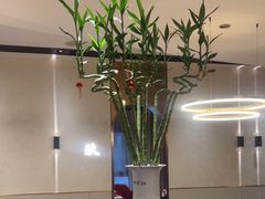 -蜀九香火锅(彩虹店)