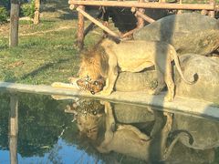 -泉州海丝野生动物世界