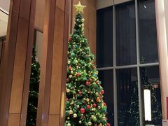 -嘉定凯悦·咖啡厅