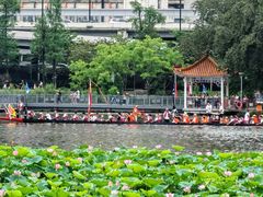 -荔湾湖公园