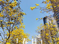 -洲头咀公园