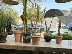 -自由生长植物工作室(深港花卉中心店)