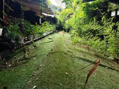 -拈一筷子·宜宾江湖菜(总店)