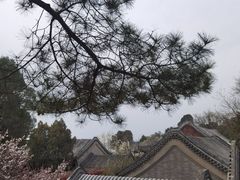 -颐和园