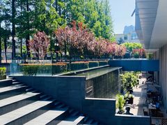 -星巴克(上海交通大学店)