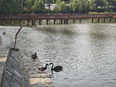 -中国农业博物馆