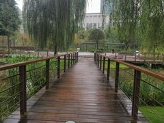 -沐仙湖湿地公园
