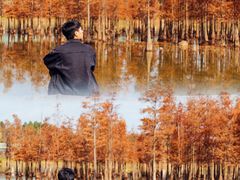 -白鹭湾湿地公园