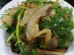 凉拌牛筋-来顺成饭庄
