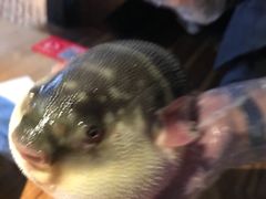 -永安鱼庄·镇江菜(丁卯店)