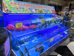 -新海渔港·胶东海鲜家常菜·家宴(奥体中心店)