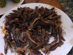 -夏家大锅台炖鱼馆
