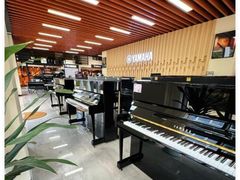 -秦川乐器(河西店)