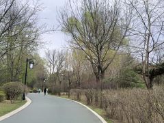 -迎泽公园