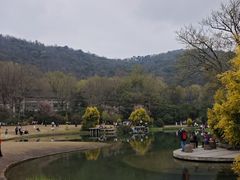 -九曜山