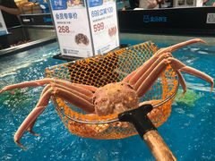-盒马鲜生(曜一城店)