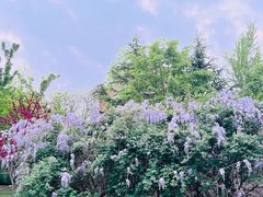 -北极寺公园
