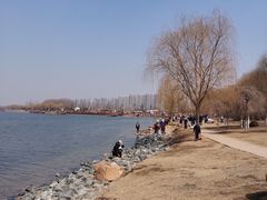 -丁香湖公园