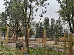 -武汉动物园