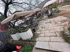 -桃源山庄·水蜜桃采摘·柴火鸡·烧烤团建(龙泉山店)