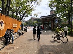 -名古屋城