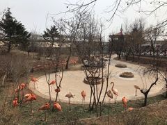 景点-大连森林动物园