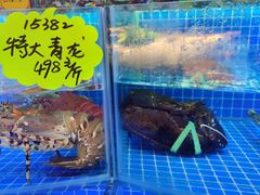 -驻海渔市(置信店)