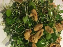 -海拉尔碳烤羊腿烤鸽子(吕营店)