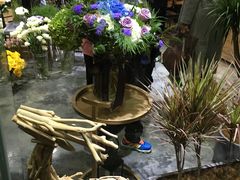 -植物学家的女儿(北马道巷店)