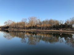 -大兴滨河森林公园