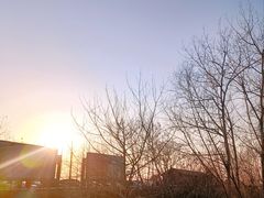 -合肥滨湖国家森林公园